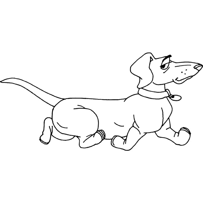 'Dachshund Dog' White Plastic Ruler RL018308 