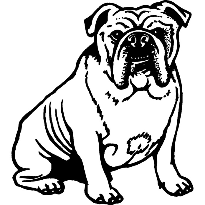 'English Bulldog' Unmounted Rubber Stamp - For Crafting, Scrapbooking and Card Making - Size A7 (RS00012388)