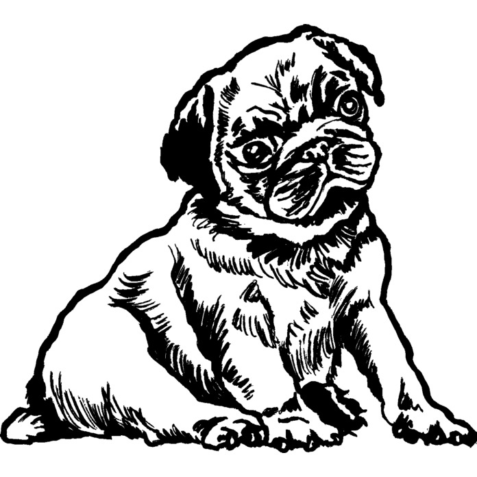 'Pug Puppy' Unmounted Rubber Stamp (RS019699)