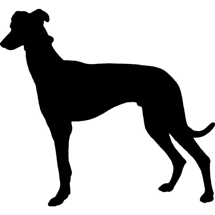 'Greyhound Silhouette' Unmounted Rubber Stamp - Graceful Racing Sighthound Canine Outline - For Crafting, Scrapbooking and Card Making - Size A7 (RS00012850)
