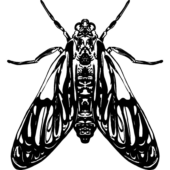 'Beautiful Moth' Unmounted Rubber Stamp (RS020503)