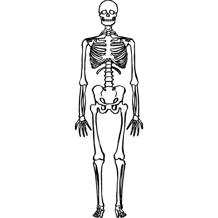 'Skeleton' Unmounted Rubber Stamp (RS024138)