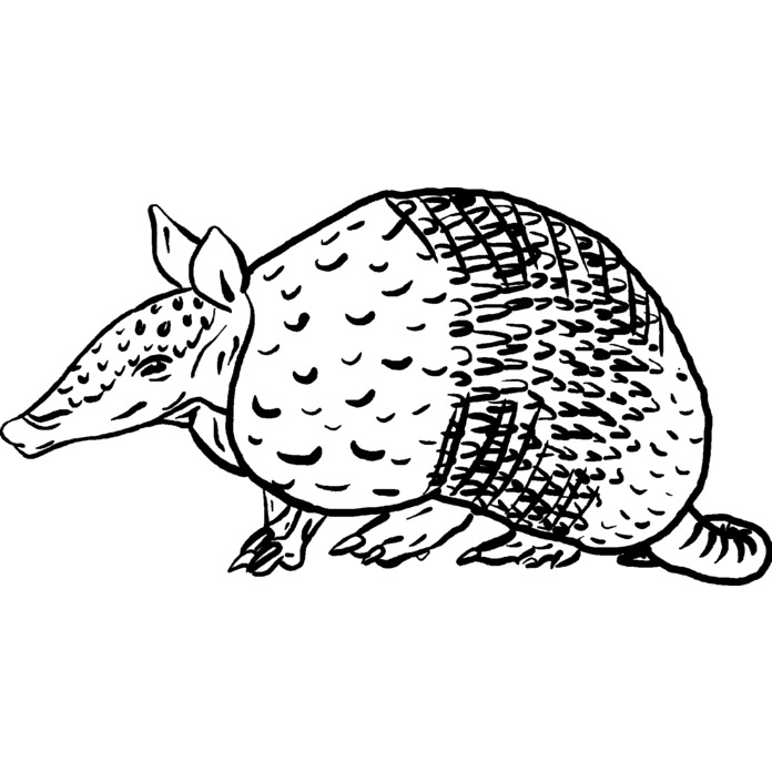 'Armadillo' Unmounted Rubber Stamp -  For Crafting, Scrapbooking and Card Making (RS025317)