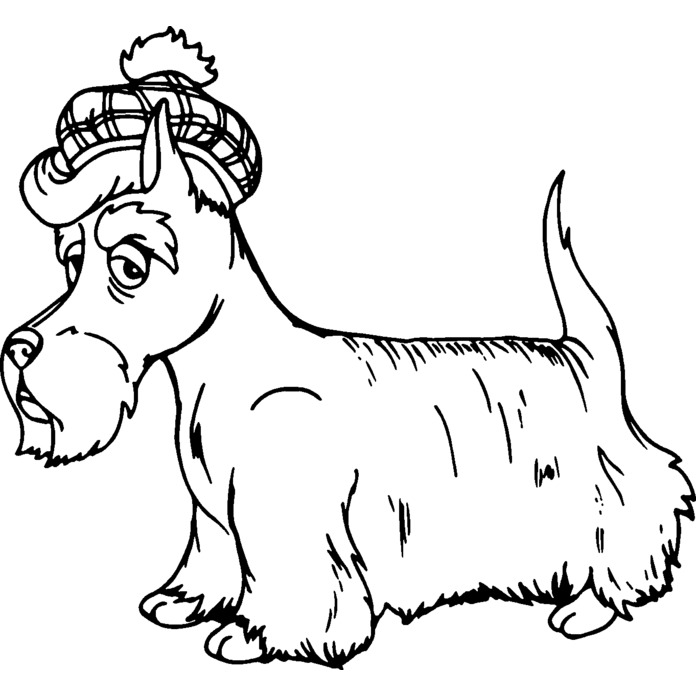 'Scottish Terrier' Unmounted Rubber Stamp - For Crafting, Scrapbooking and Card Making (RS027605)
