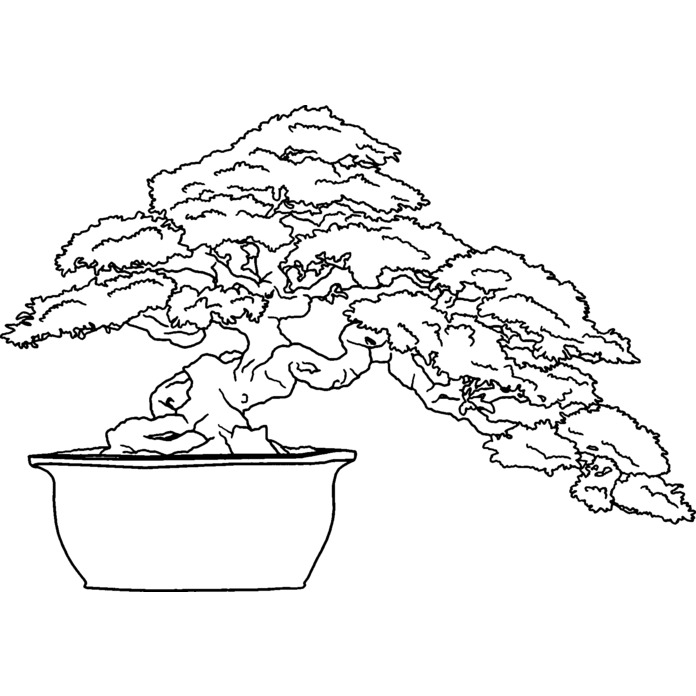 'Bonsai Tree' Unmounted Rubber Stamp -  For Crafting, Scrapbooking and Card Making (RS028378)