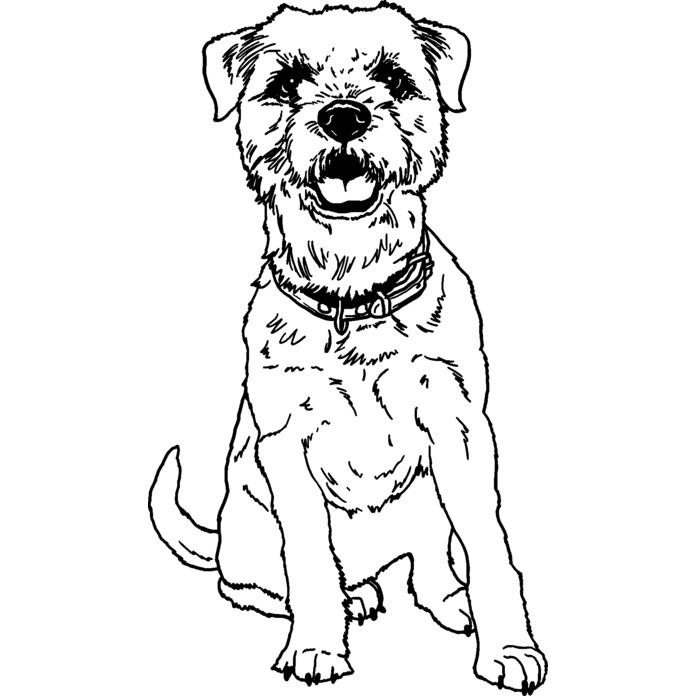 'Border Terrier' Unmounted Rubber Stamp - For Crafting, Scrapbooking and Card Making - Size A7 (RS00037052)