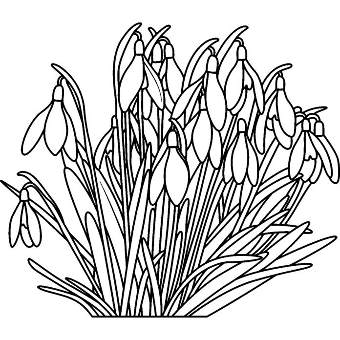 'Snowdrops' Unmounted Rubber Stamp - A7 - Craft Stamp for Scrapbooking, Card Making, Journals and Creative Projects (RS00037268)
