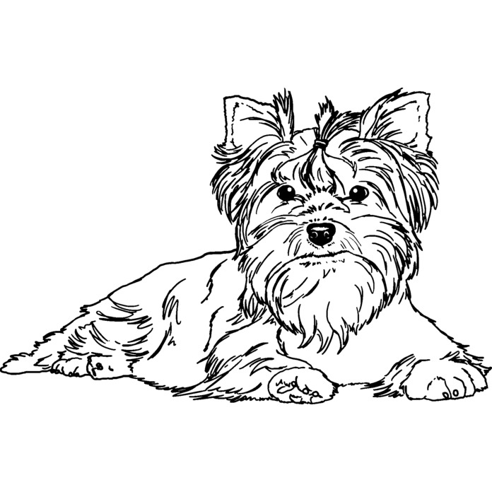 'Yorkshire Terrier' Unmounted Rubber Stamp - For Crafting, Scrapbooking and Card Making - Size A7 (RS00037518)
