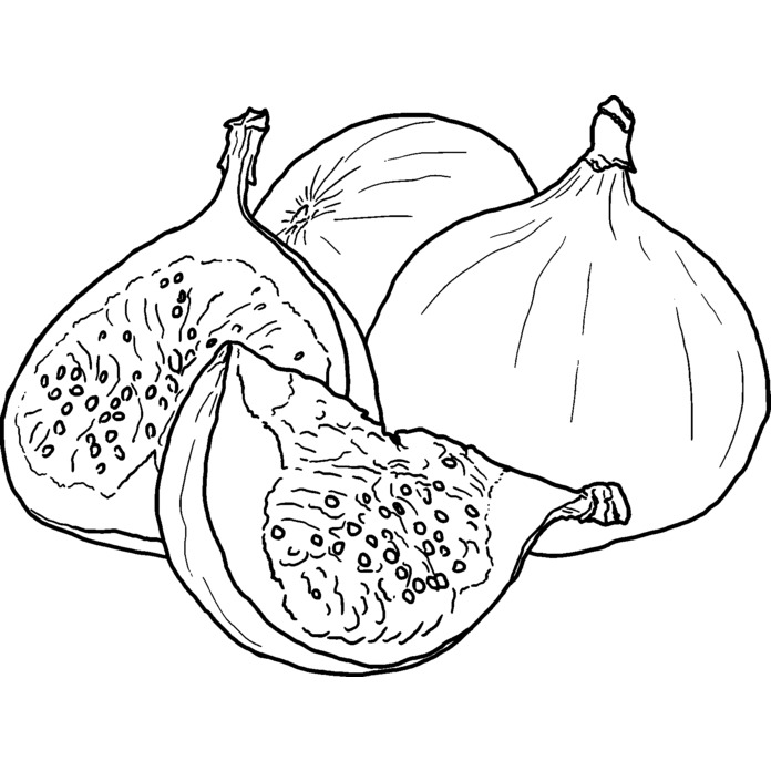 'Figs' Unmounted Rubber Stamp (RS029132)