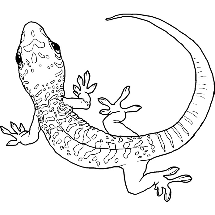 'Day Gecko' Unmounted Rubber Stamp -  For Crafting, Scrapbooking and Card Making (RS029187)