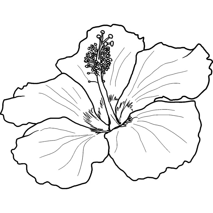 'Hibiscus Flower' Unmounted Rubber Stamp -  For Crafting, Scrapbooking and Card Making (RS029450)