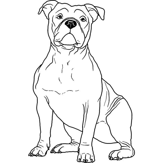'American Bully Dog' Unmounted Rubber Stamp - For Crafting, Scrapbooking and Card Making - Size A7 (RS00039100)