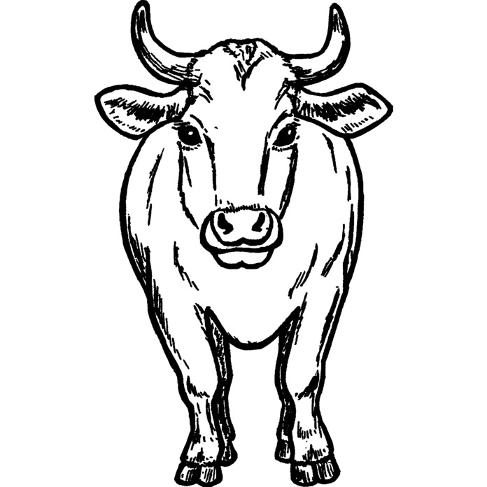 'Ox' Unmounted Rubber Stamp (RS030462) - Afbeelding 3 van 6