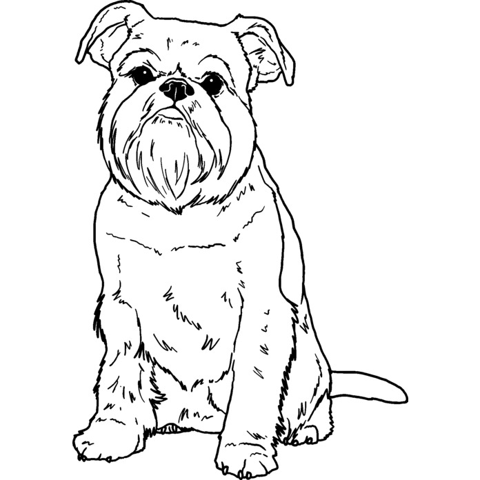 'Brussels Griffon' Unmounted Rubber Stamp - For Crafting, Scrapbooking and Card Making - Size A7 (RS00041126)