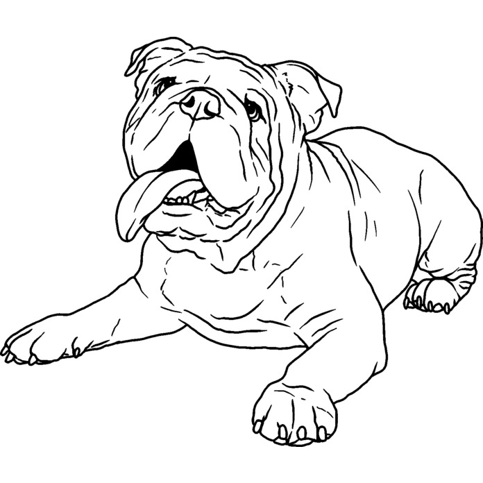 'English Bulldog' Unmounted Rubber Stamp - A7 - Craft Stamp for Scrapbooking, Card Making, Journals and Creative Projects (RS00043610)