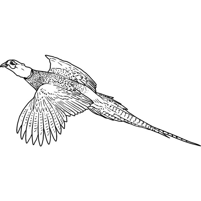 'Flying Pheasant' Unmounted Rubber Stamp (RS035366)