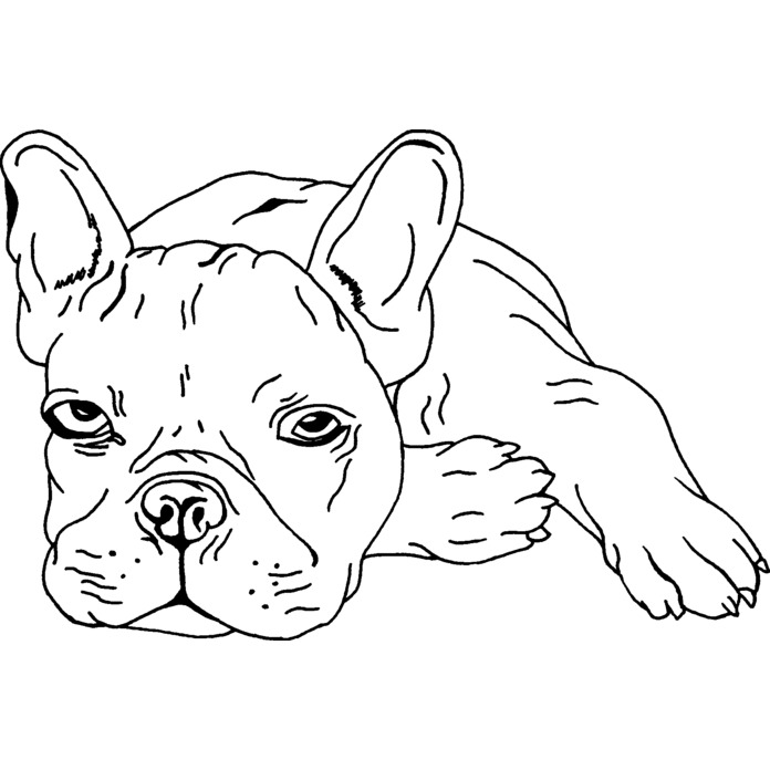 'French Bulldog' Unmounted Rubber Stamp -  For Crafting, Scrapbooking and Card Making - Size A7 (RS00044560)