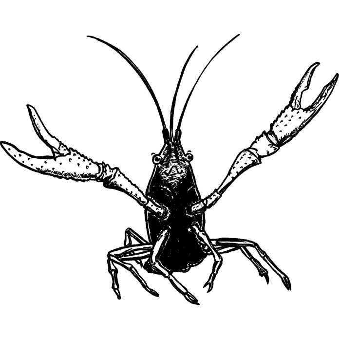 'Happy Crayfish' Unmounted Rubber Stamp - For Crafting, Scrapbooking and Card Making (RS036568)