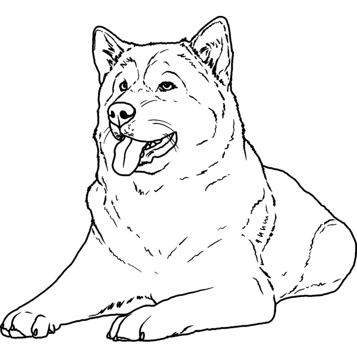 'Alaskan Malamute' Unmounted Rubber Stamp - For Crafting, Scrapbooking and Card Making (RS037344)