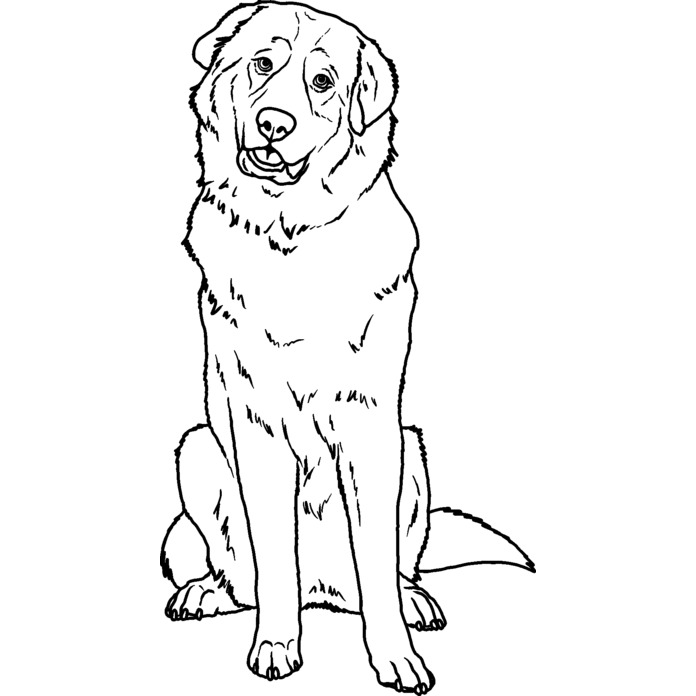'Pyrenean Mountain Dog' Unmounted Rubber Stamp - For Crafting, Scrapbooking and Card Making - Size A7 (RS00046799)