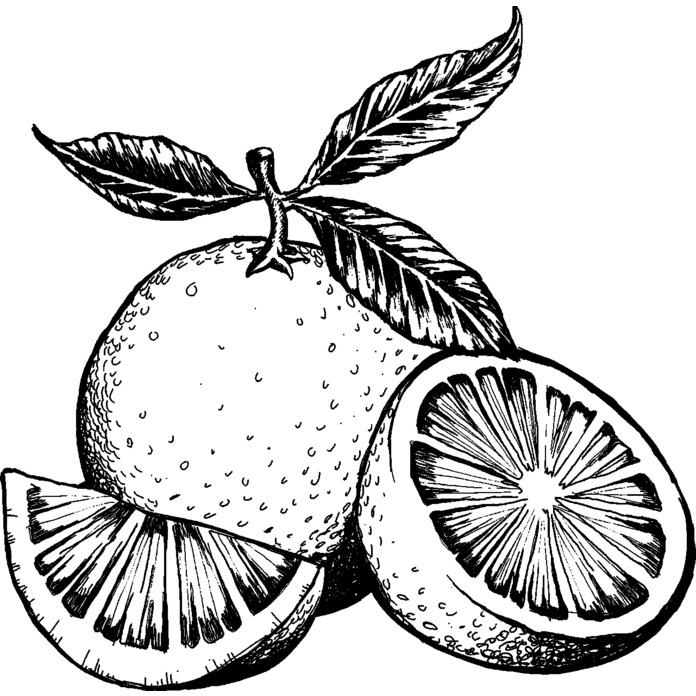 'Oranges' Unmounted Rubber Stamp - For Crafting, Scrapbooking and Card Making - Size A7 (RS00049051)