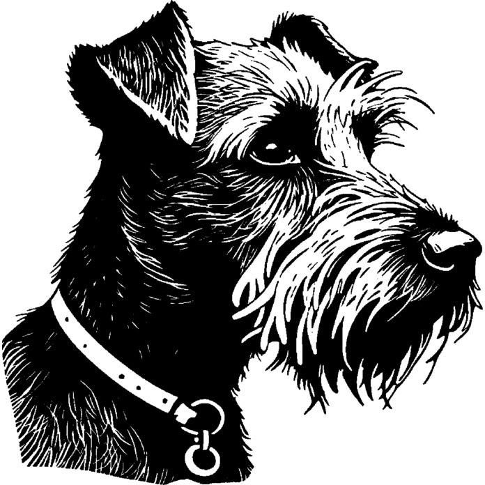 'Terrier' Unmounted Rubber Stamp - For Crafting, Scrapbooking and Card Making - Size A7 (RS00051061)