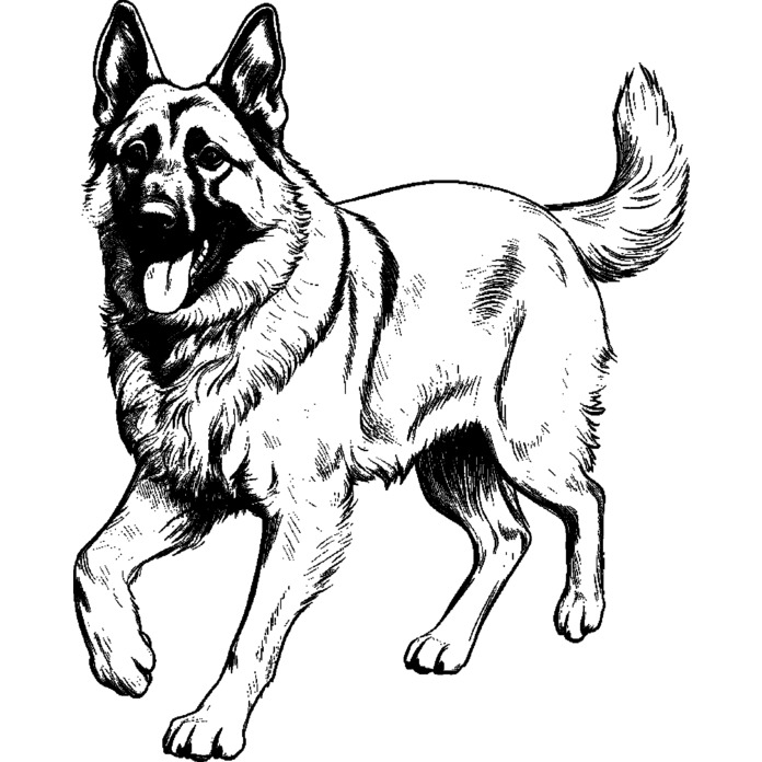 'German Shepherd Walking' Unmounted Rubber Stamp - For Crafting, Scrapbooking and Card Making (RS043679)