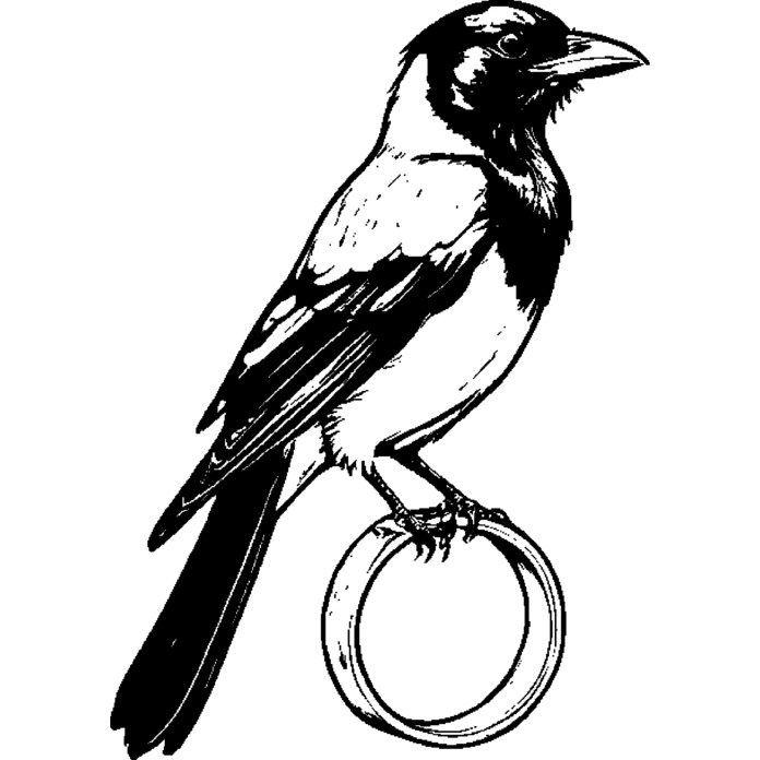 'Magpie Stealing Ring' Unmounted Rubber Stamp - For Crafting, Scrapbooking and Card Making - Size A7 (RS00052503)