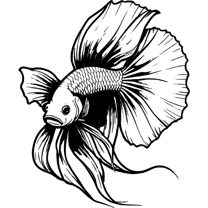 'Siamese Fighting Fish' Unmounted Rubber Stamp -  For Crafting, Scrapbooking and Card Making (RS045114)