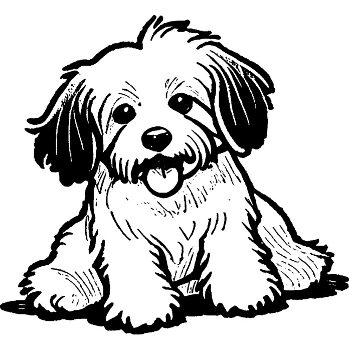 'Havanese Dog Sitting' Unmounted Rubber Stamp -  For Crafting, Scrapbooking and Card Making - Size A7 (RS00054013)