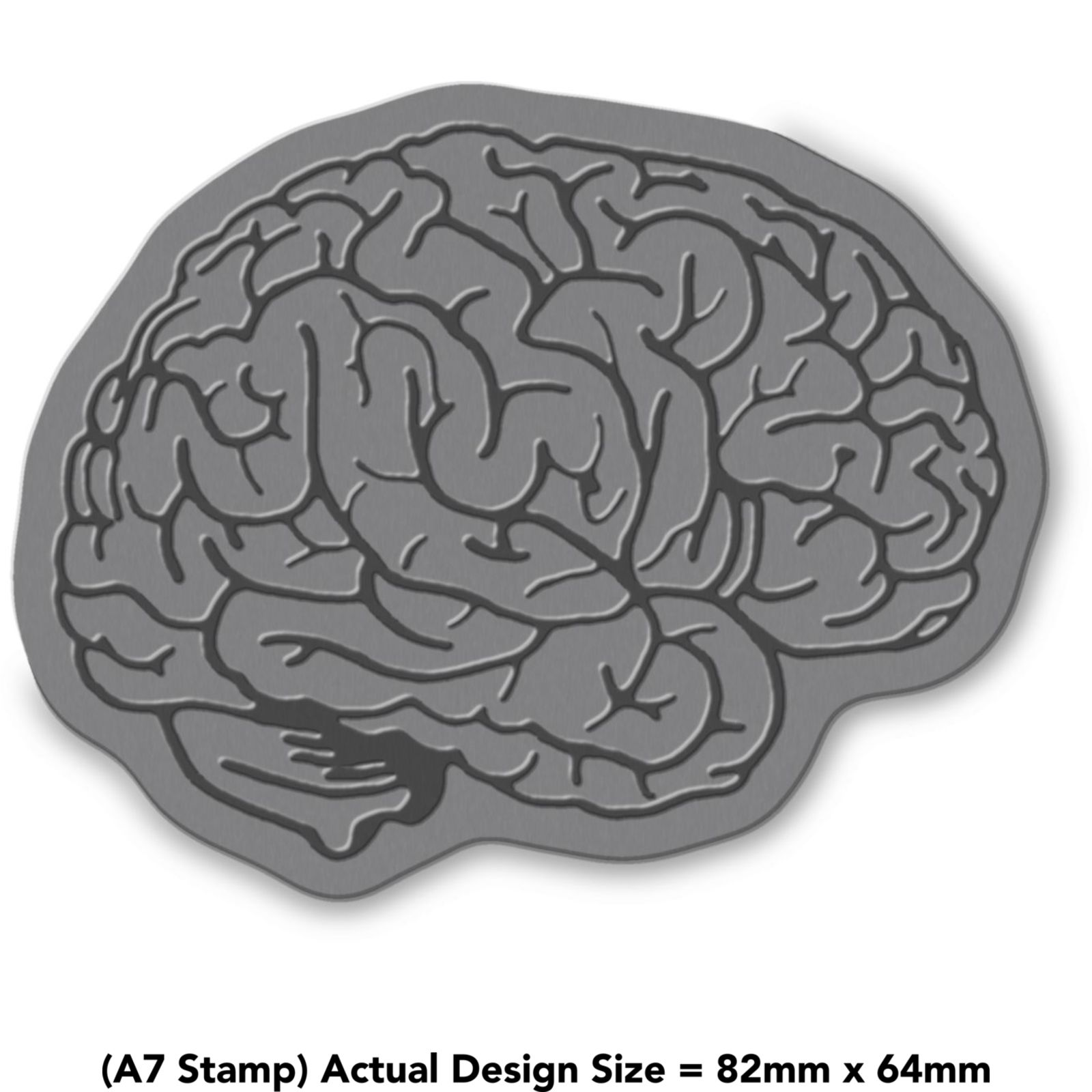 'Human Brain' Unmounted Rubber Stamp (RS019209)