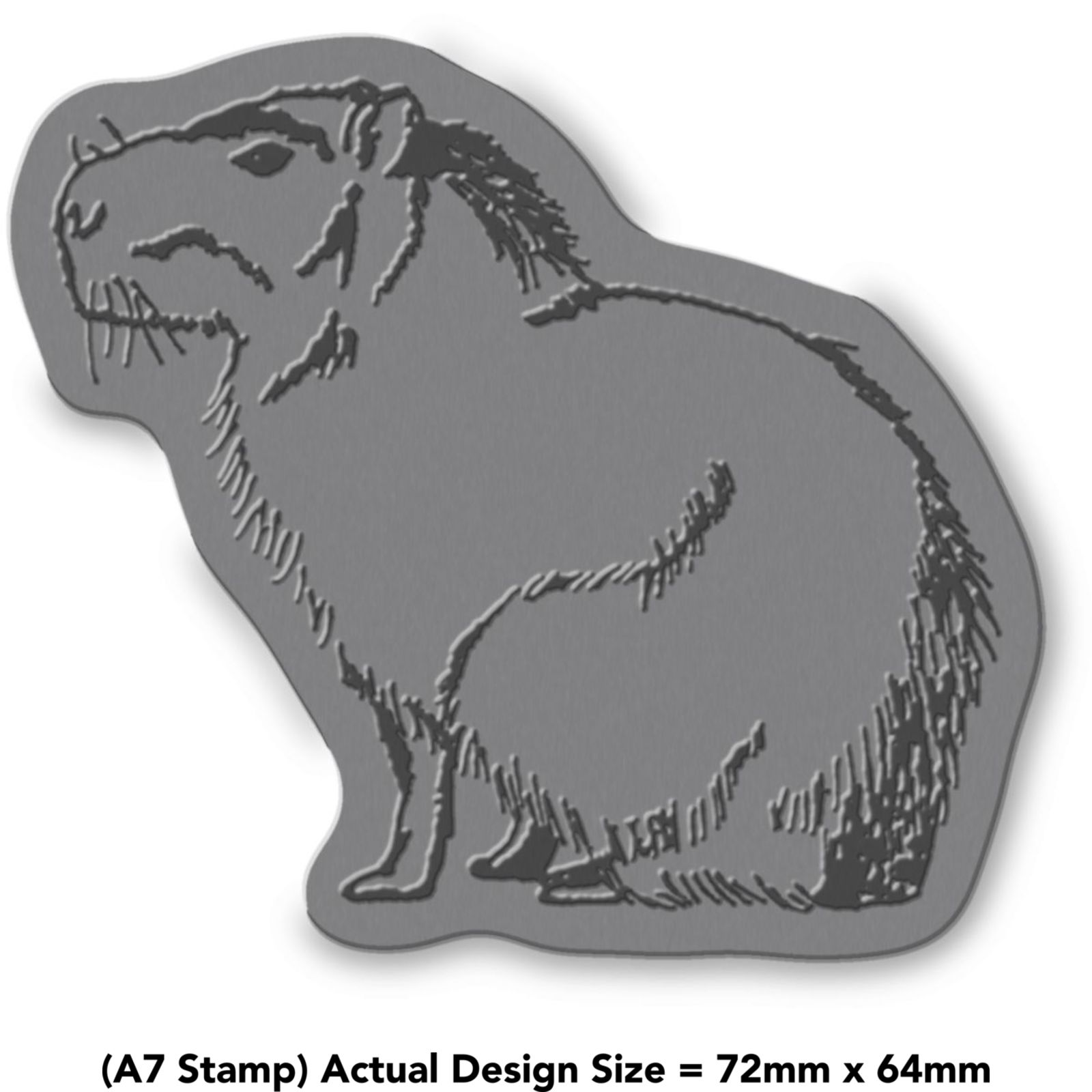'Sitting Capybara' Unmounted Rubber Stamp (RS019989)