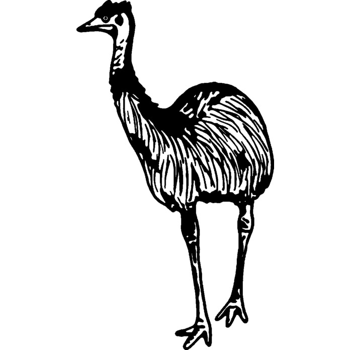 'Emu' Unmounted Rubber Stamp - For Crafting, Scrapbooking and Card Making - Size A8 (RS00015056)