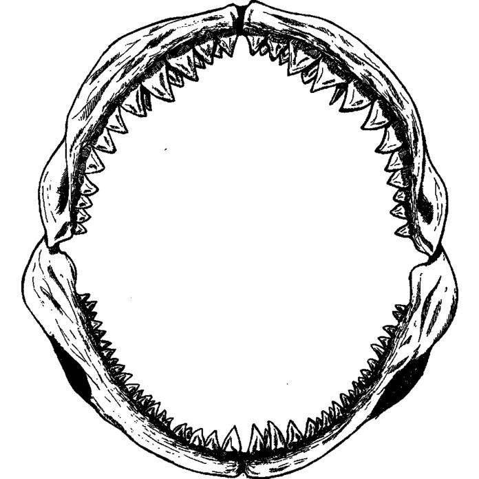 'Shark Jaws' Unmounted Rubber Stamp - For Crafting, Scrapbooking and Card Making - Size A8 (RS00017612)