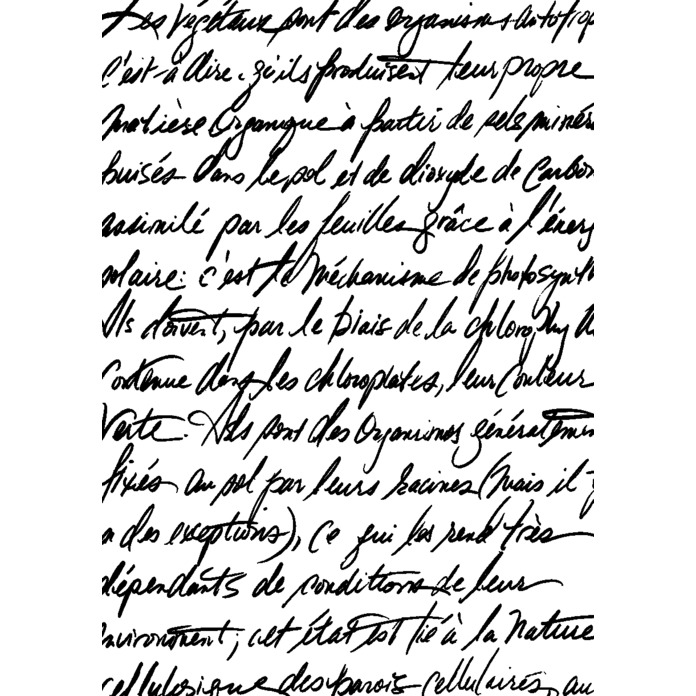 'Botanical Script' Unmounted Rubber Stamp - For Crafting, Scrapbooking and Card Making - Size A8 (RS00019528)