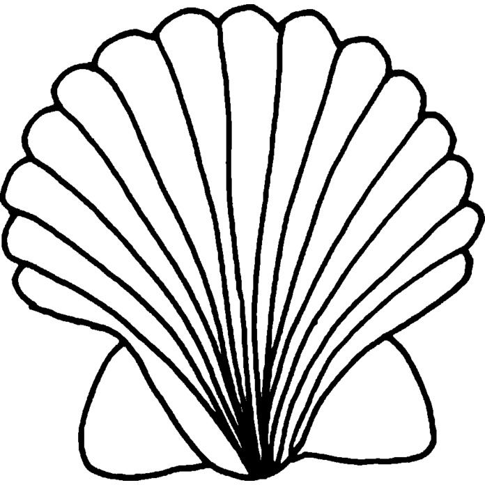 'Scallop Shell' Unmounted Rubber Stamp - For Crafting, Scrapbooking and Card Making - Size A8 (RS00020825)