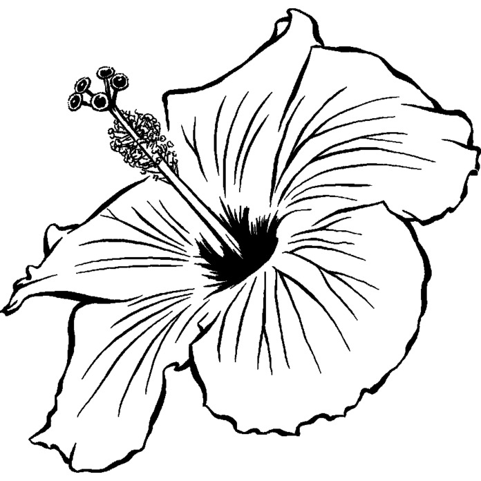 'Hibiscus Flower' Unmounted Rubber Stamp -  For Crafting, Scrapbooking and Card Making - Size A8 (RS00021589)