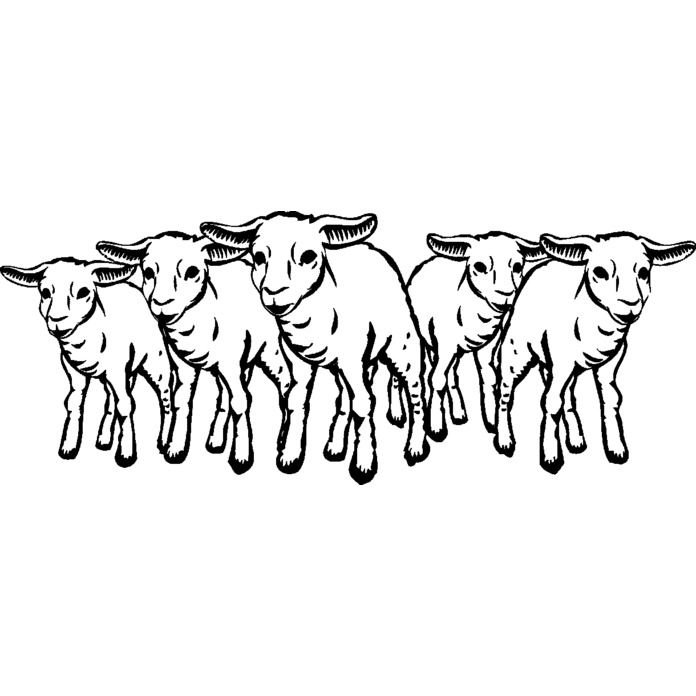 'Group Of Sheep' Unmounted Rubber Stamp (RS012598) - Picture 5 of 6