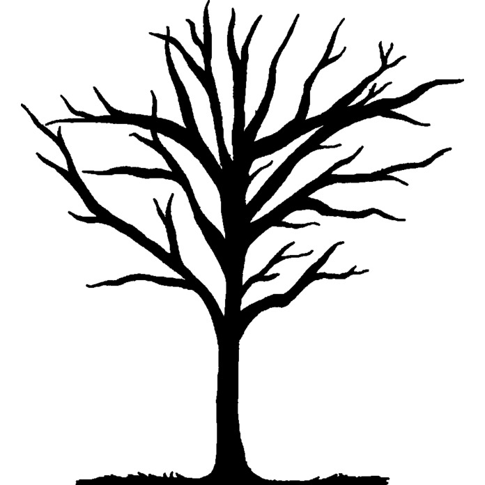 'Winter Tree' Unmounted Rubber Stamp - For Crafting, Scrapbooking and Card Making - Size A8 (RS00022151)