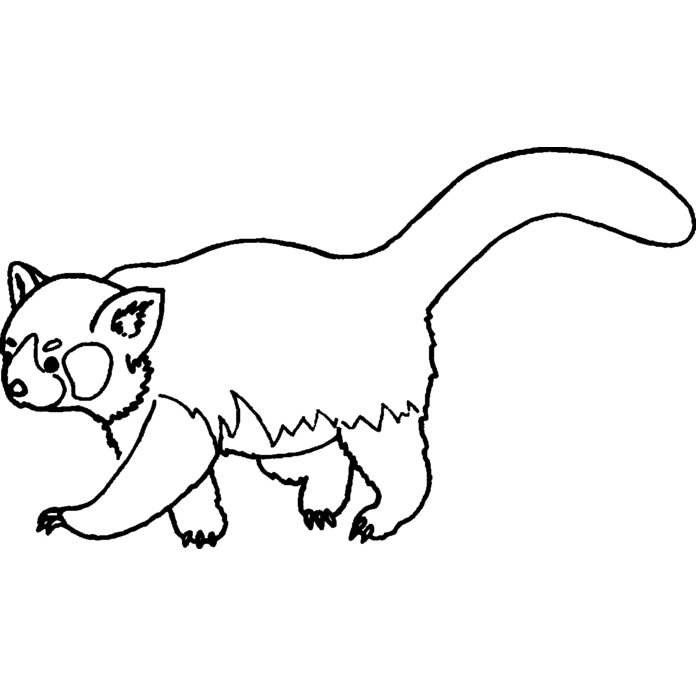 'Red Panda' Unmounted Rubber Stamp - For Crafting, Scrapbooking and Card Making - Size A8 (RS00022702)