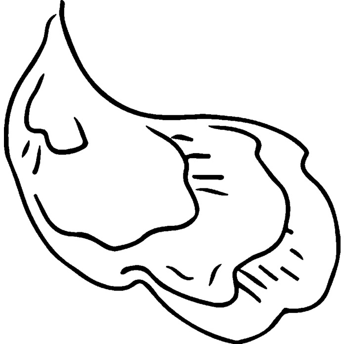'Oyster Shell' Unmounted Rubber Stamp - For Crafting, Scrapbooking and Card Making - Size A8 (RS00022940)