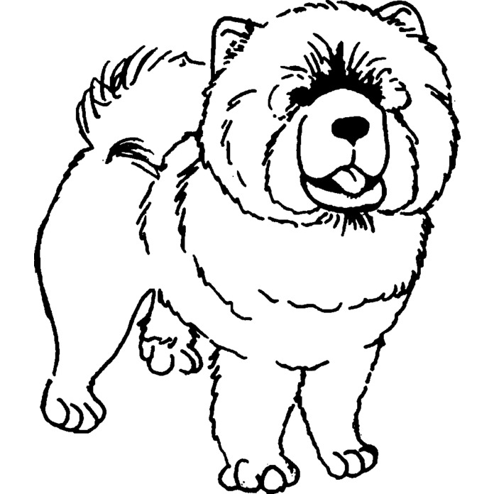 'Chow Chow Dog' Unmounted Rubber Stamp - For Crafting, Scrapbooking and Card Making - Size A8 (RS00024902)