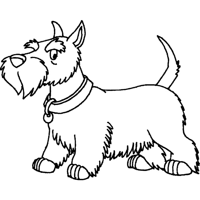 'Scottish Terrier Dog' Unmounted Rubber Stamp - For Crafting, Scrapbooking and Card Making - Size A8 (RS00026675)