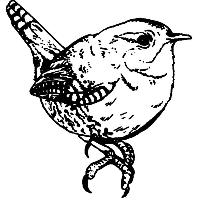 'Wren Bird' Unmounted Rubber Stamp - For Crafting, Scrapbooking and Card Making - Size A8 (RS00027452)
