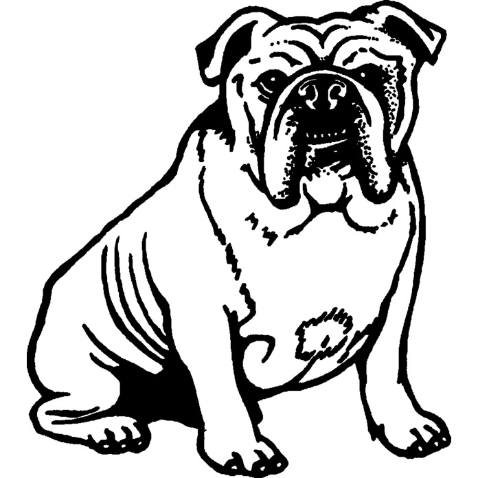 'English Bulldog' Unmounted Rubber Stamp -  For Crafting, Scrapbooking and Card Making - Size A8 (RS00027652)