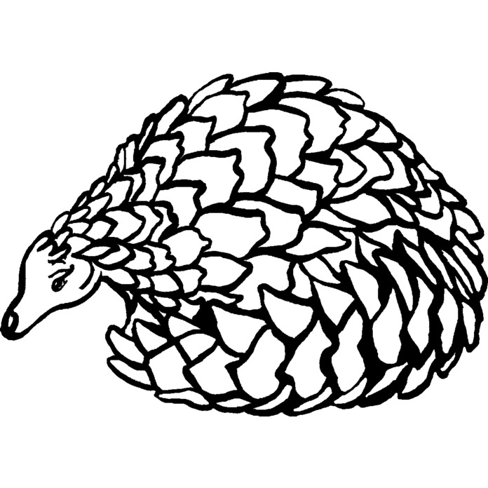 'Pangolin' Unmounted Rubber Stamp -  For Crafting, Scrapbooking and Card Making - Size A8 (RS00027846)