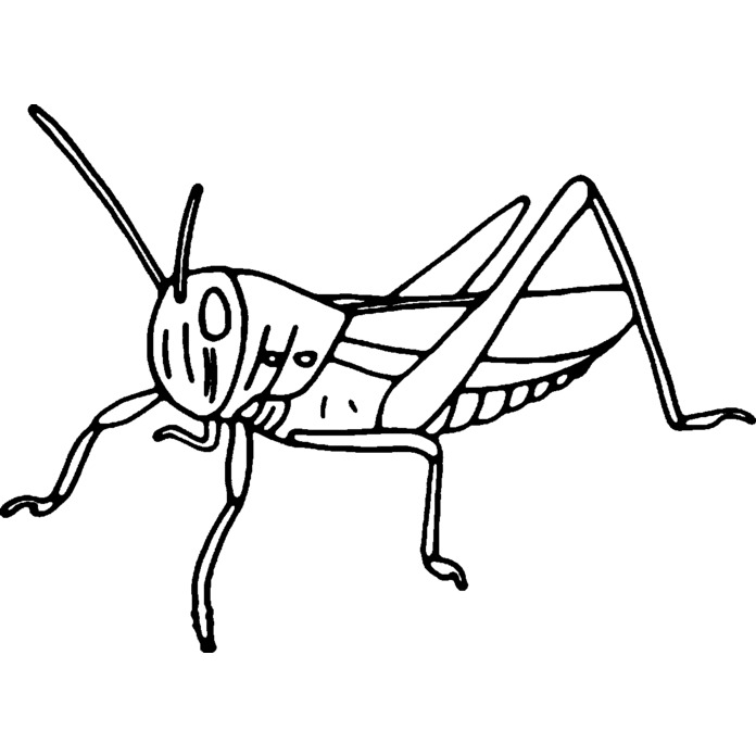 'Grasshopper Insect' Unmounted Rubber Stamp -  For Crafting, Scrapbooking and Card Making - Size A8 (RS00027989)