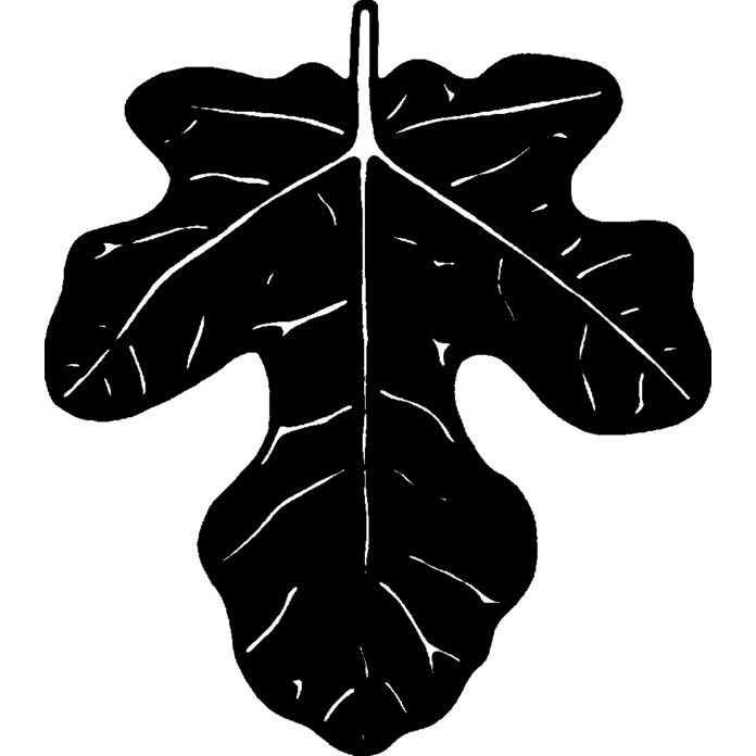 'Fig Leaf' Unmounted Rubber Stamp - For Crafting, Scrapbooking and Card Making - Size A8 (RS00028030)