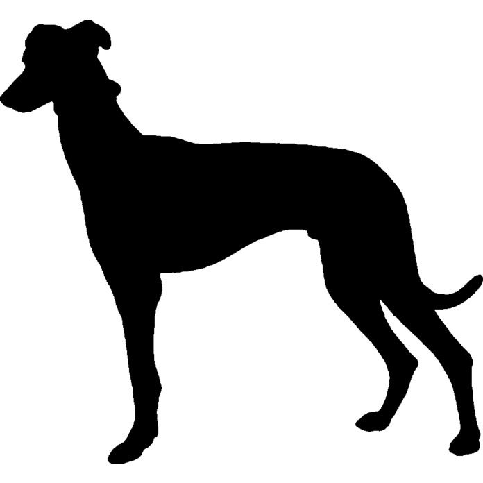 'Greyhound Silhouette' Unmounted Rubber Stamp - Graceful Racing Sighthound Canine Outline - For Crafting, Scrapbooking and Card Making - Size A8 (RS00028116)