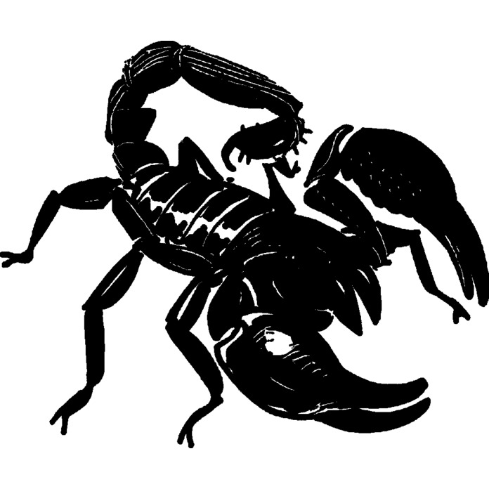 'Scorpion' Unmounted Rubber Stamp - For Crafting, Scrapbooking and Card Making - Size A8 (RS00032325)